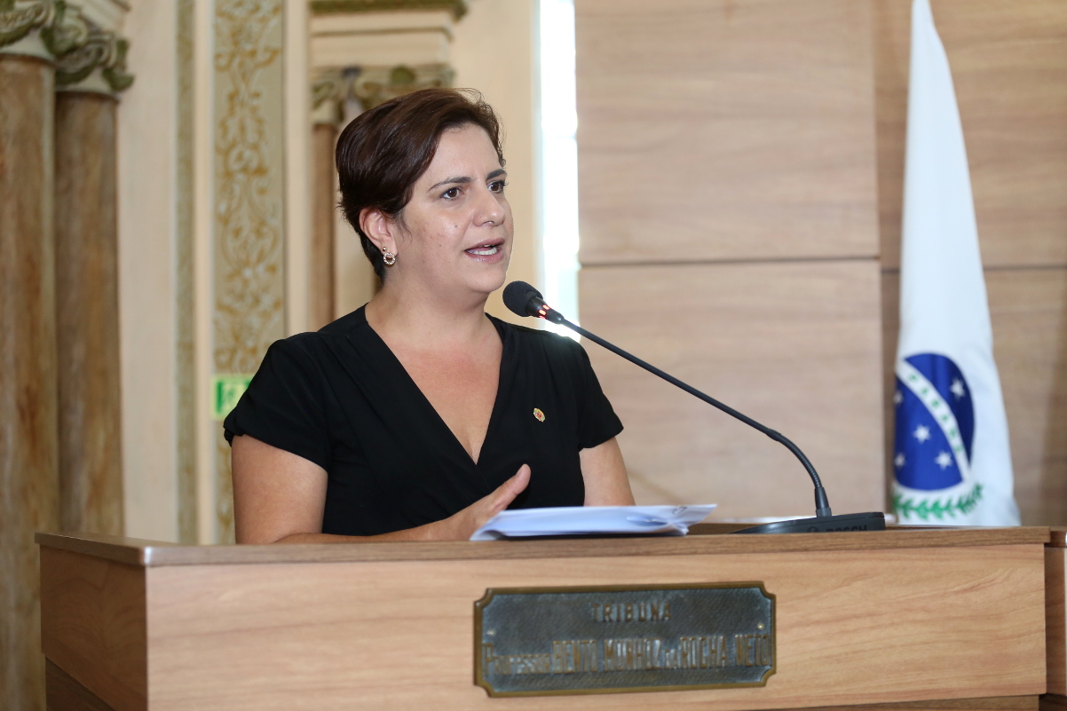 Substitutivo altera projeto que proíbe uso de fogos de artifício