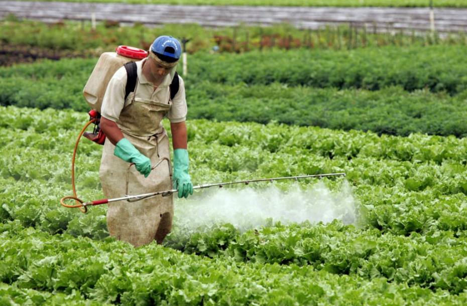 Sugerida campanha permanente de combate ao uso de agrotóxicos 