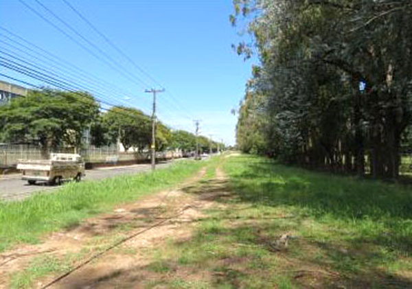 Sugerido eixo de animação na CIC 