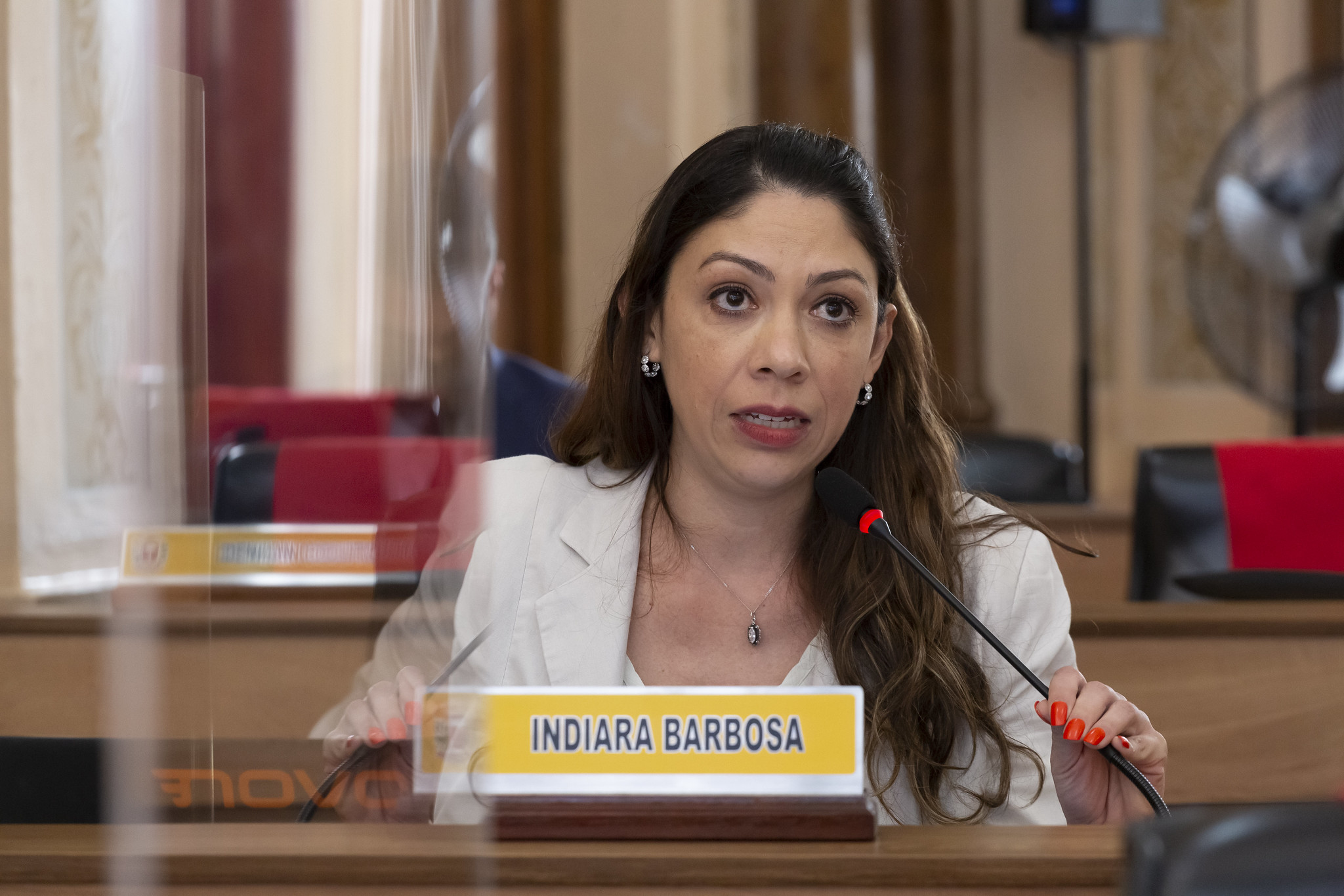 Sugerido que CMC tenha acesso ao Sistema Único de Protocolos da prefeitura