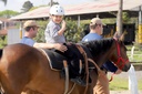 Terapia com cavalos pode virar programa municipal de saúde em Curitiba