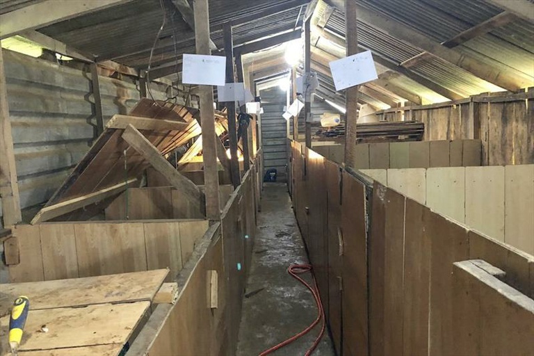 Tribuna Livre: delegado fala sobre combate a maus-tratos a animais