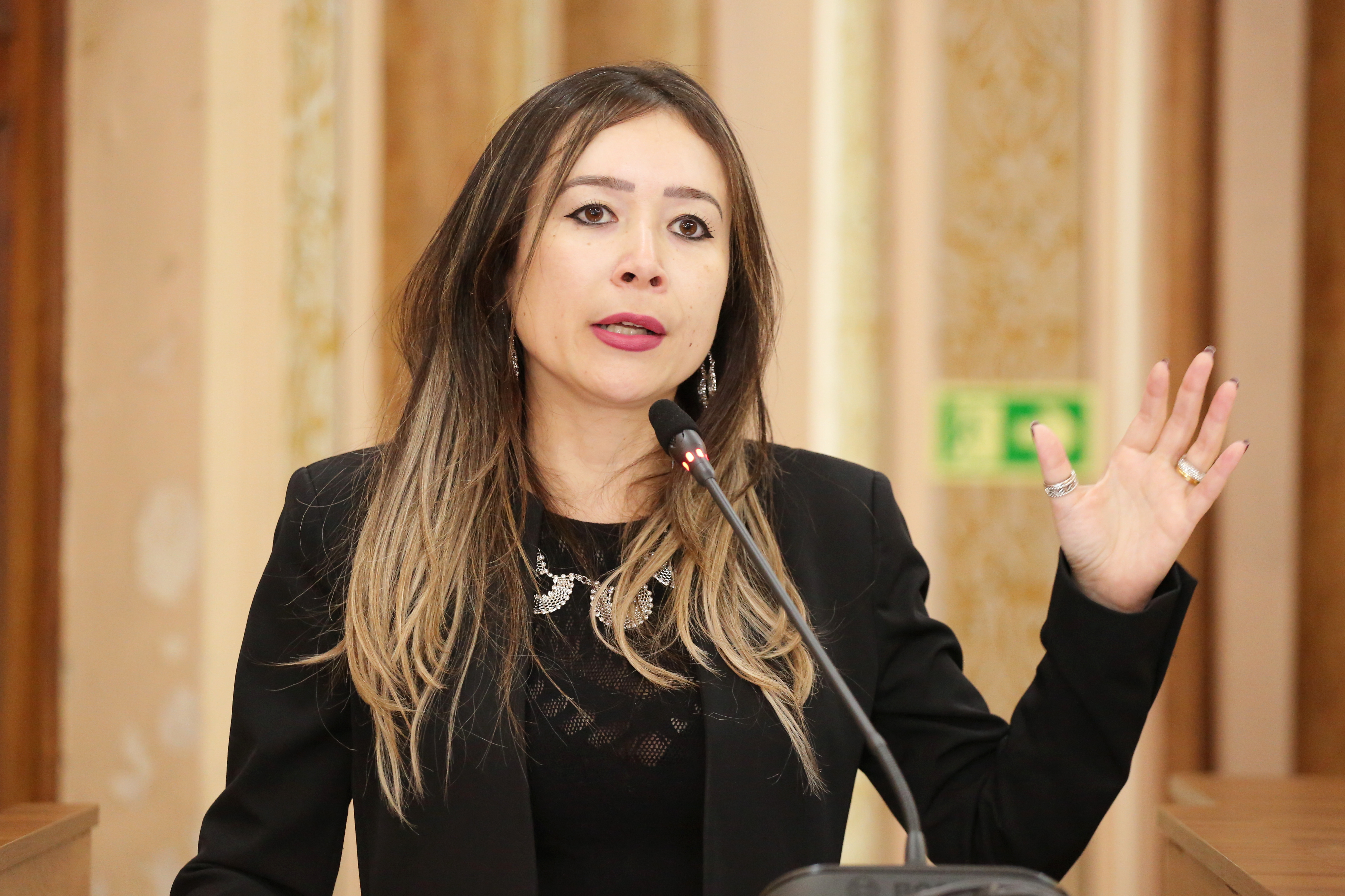 Unidade psiquiátrica depende de novo local, diz Executivo 