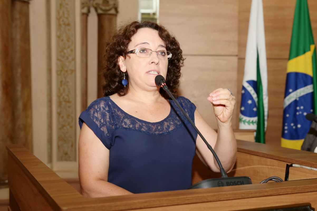 Vereadora quer agilidade na instalação da Comissão Especial do Transporte