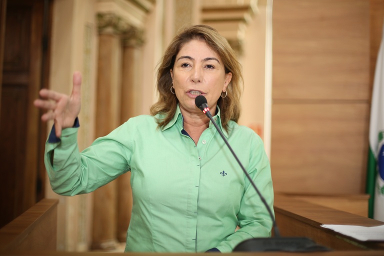 Vereadoras criticam suposta promoção de casa de repouso para o Natal