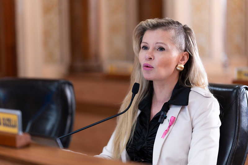 Vereadores acatam moção de apoio para guardas municipais de Curitiba