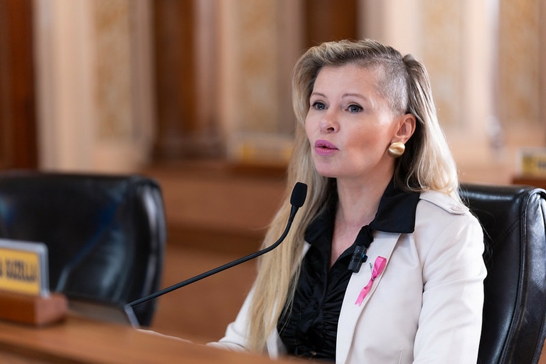 Vereadores acatam moção de apoio para guardas municipais de Curitiba