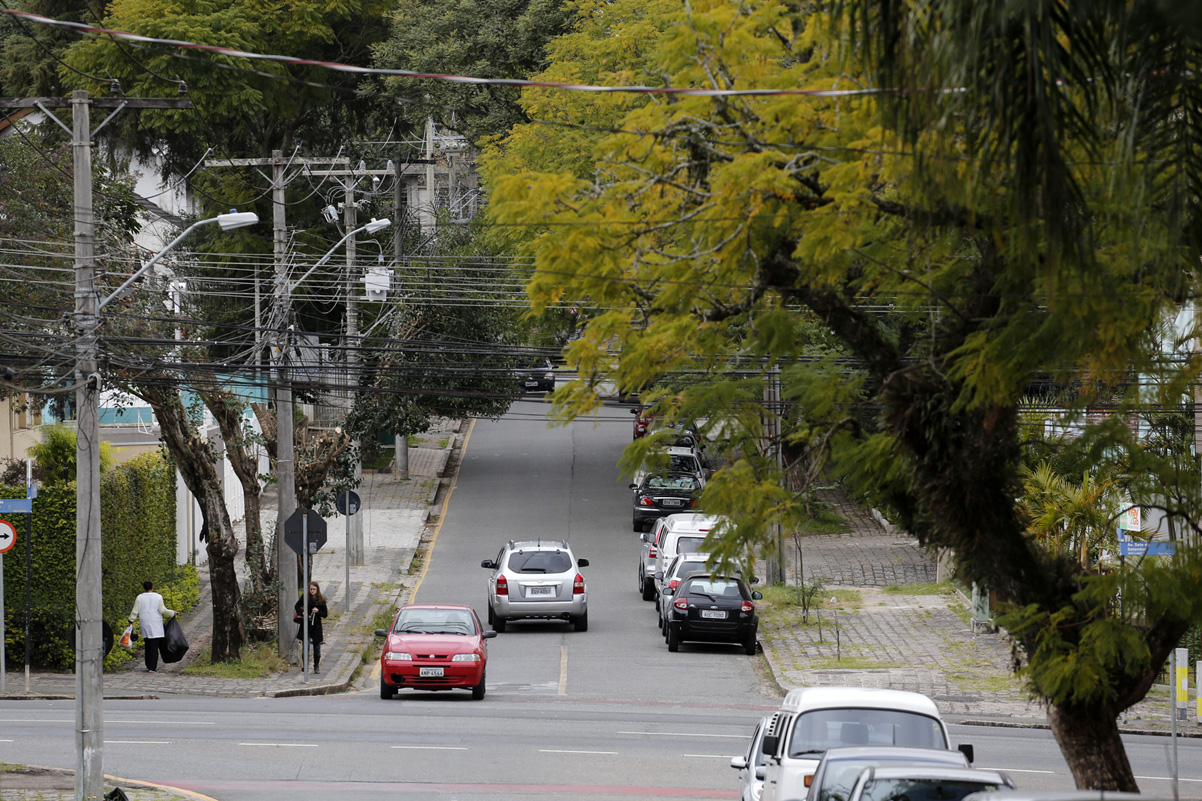 Vereadores cobram podas e cortes de árvores à prefeitura