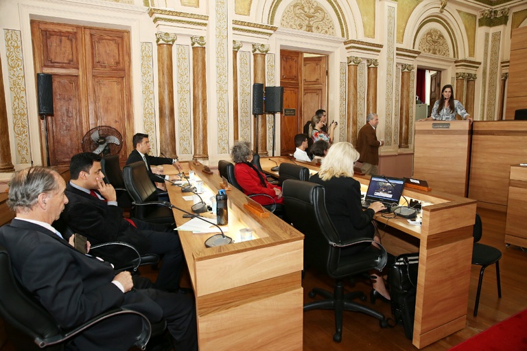 Vereadores debatem publicação com menção a "casamento gay"