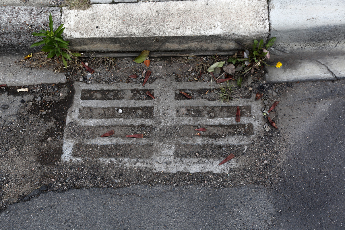 Vereadores indicam áreas da capital que necessitam de limpeza