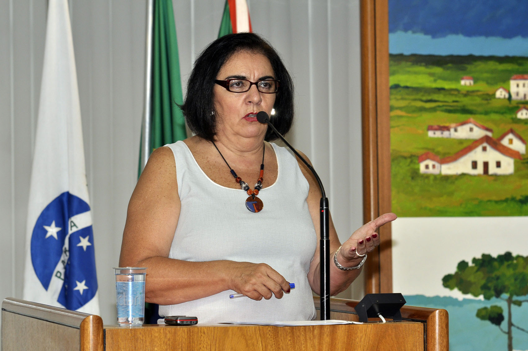 Vereadores ouvirão presidente da Urbs sobre mobiliário 