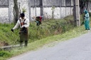 Vereadores pedem limpeza e roçada em bairros da capital