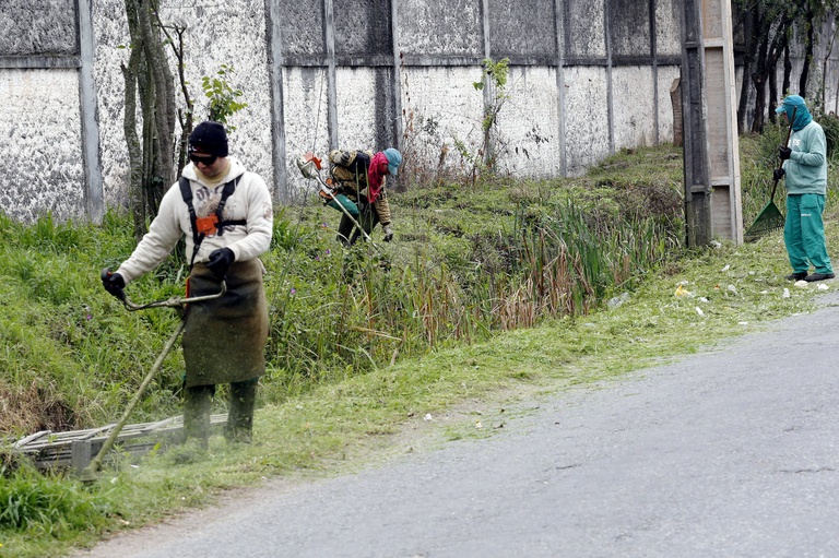 Vereadores pedem limpeza e roçada em bairros da capital