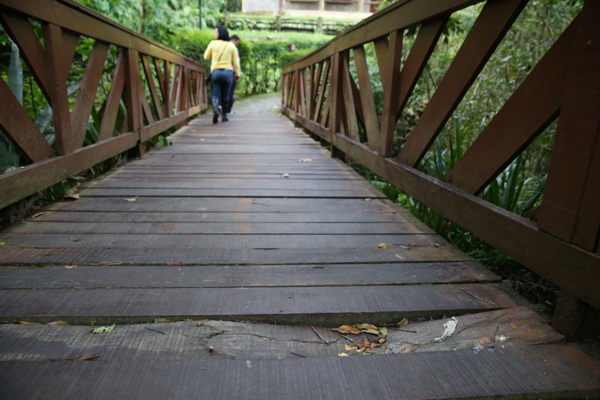 Vereadores pedem reparos em pontes de vários bairros da capital 