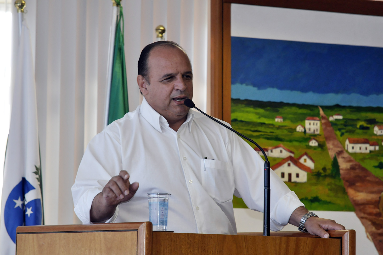 Vereadores ressaltam atuação em 2011 