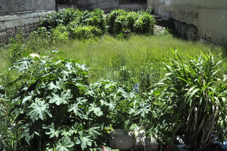 Vereadores solicitam limpeza em vários pontos da cidade