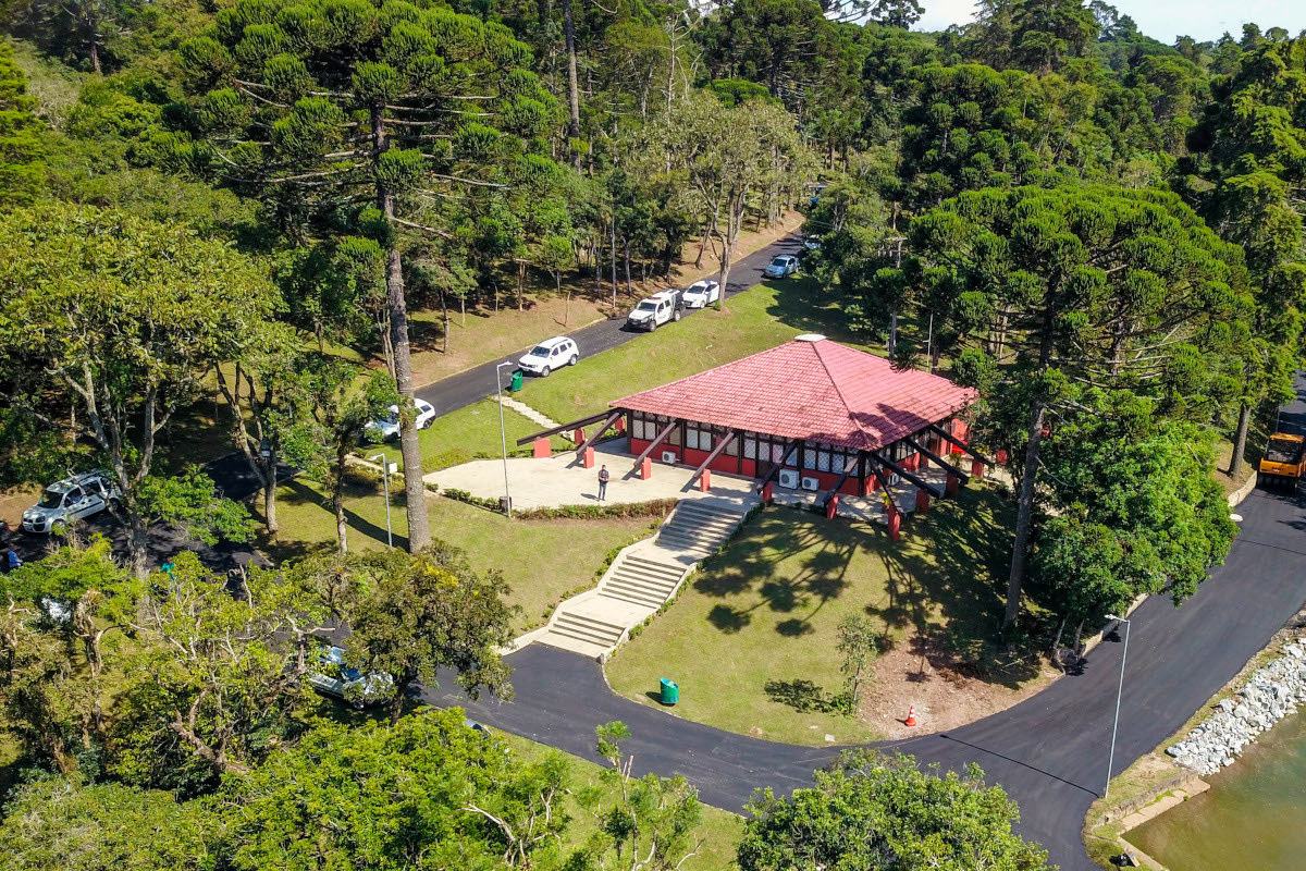 Vereadores votam Código Florestal de Curitiba na sessão desta terça-feira