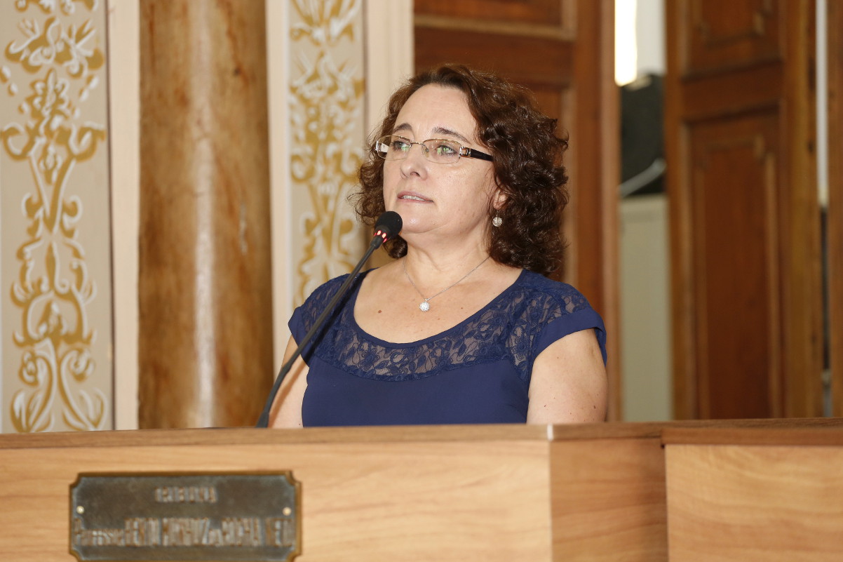 Veto parcial não compromete Multa Moral, diz Professora Josete