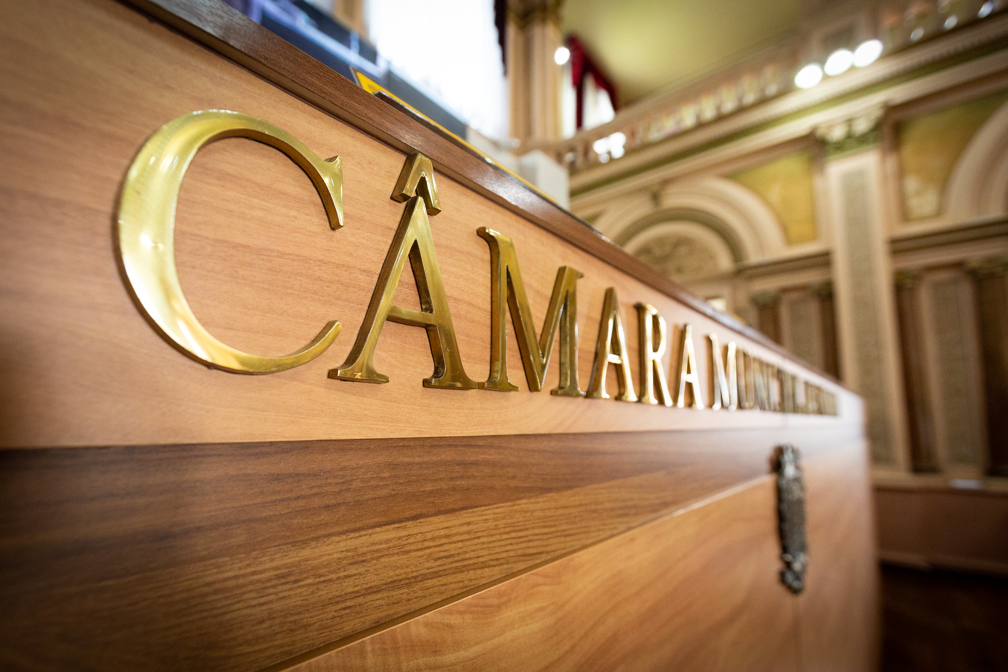 Vulto Emérito a ortopedista do Pequeno Príncipe será entregue dia 12